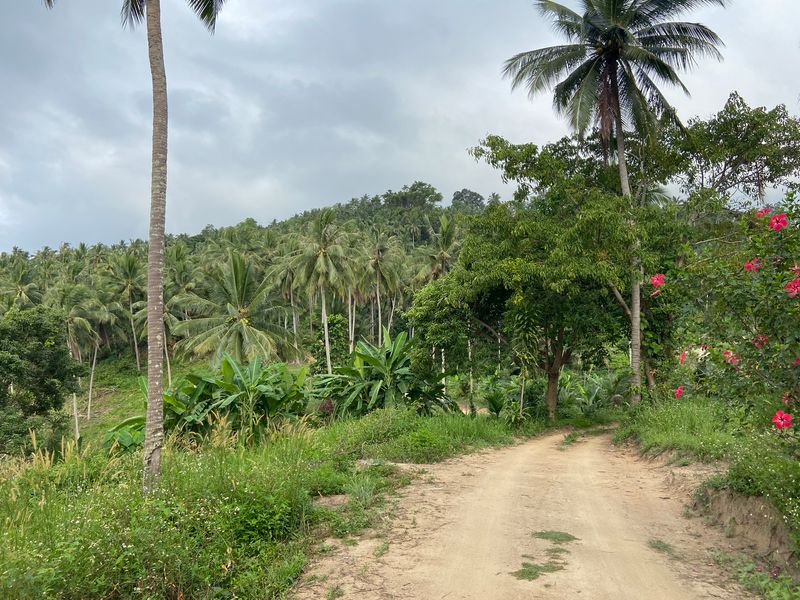 Ko Samui