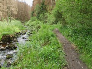 harz - klick auf reisen